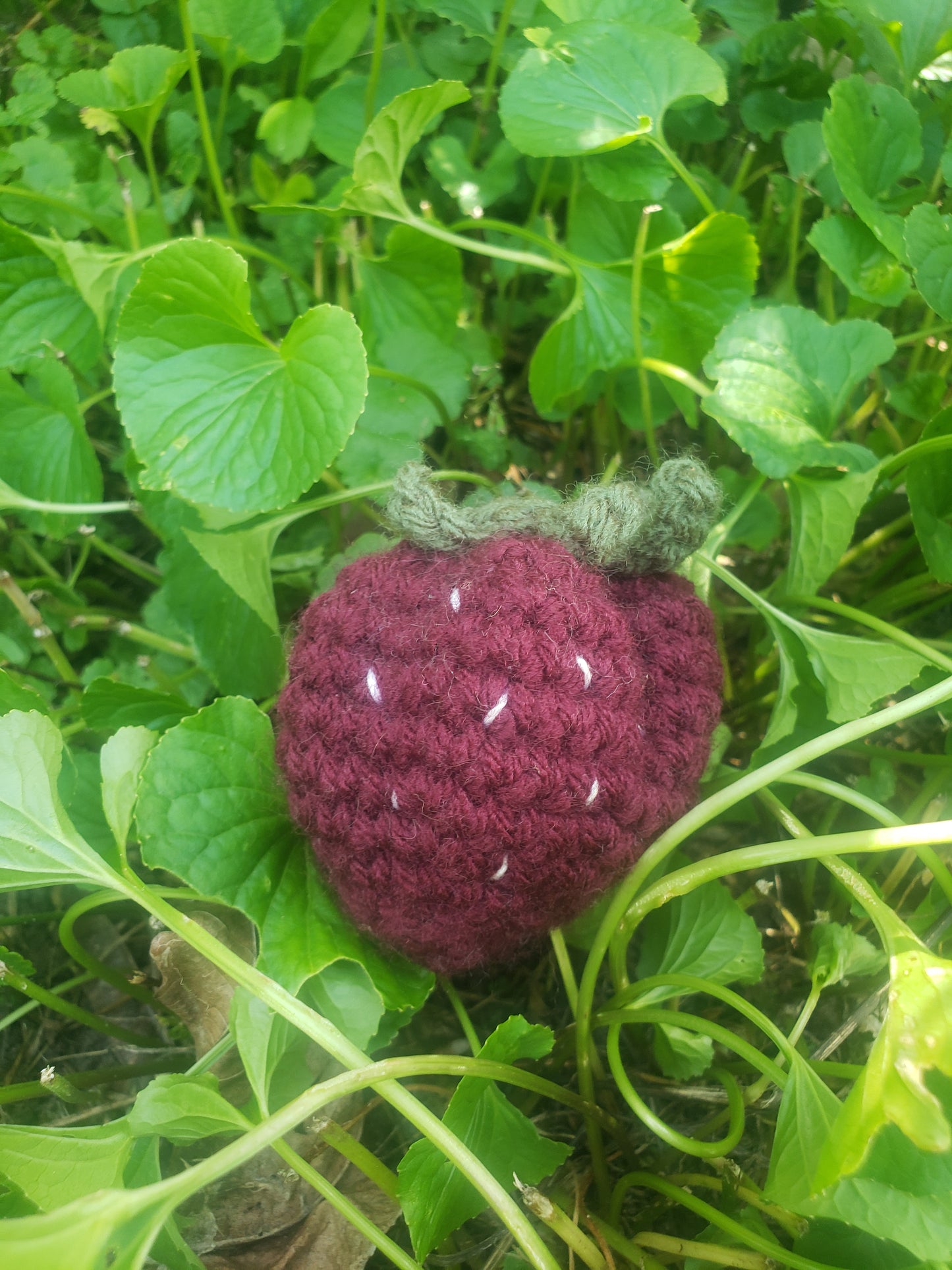 Crochet Over Ripe Strawberry