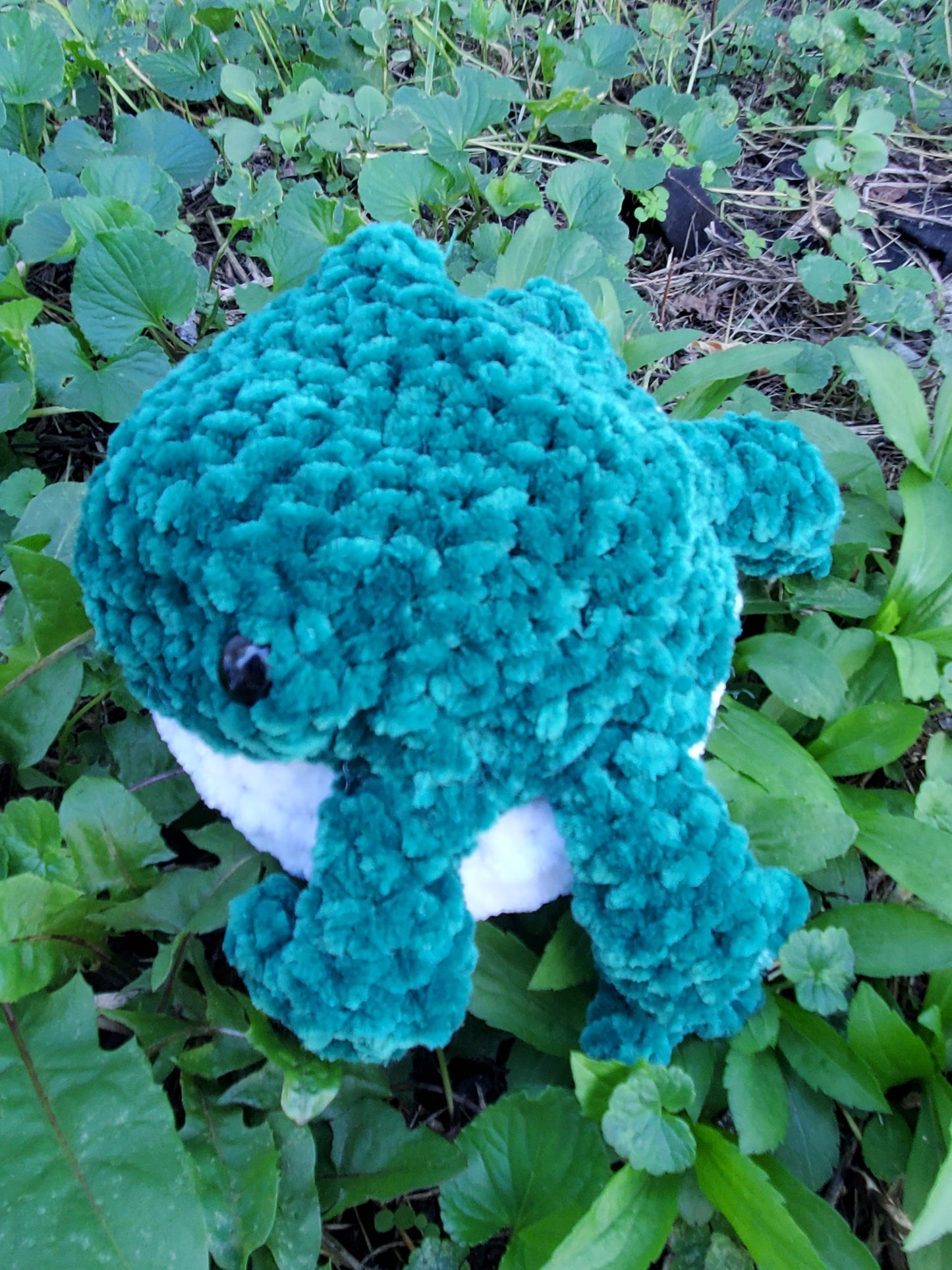 Crochet Derpy Toad Friend