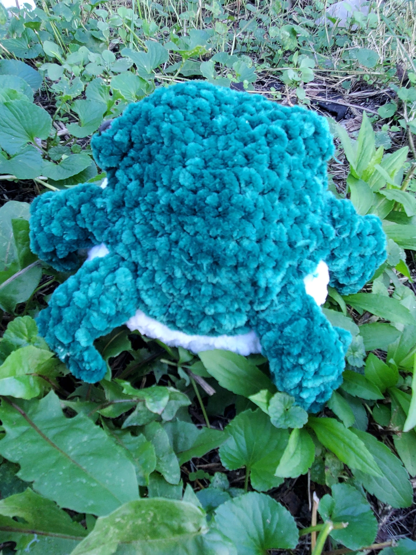 Crochet Derpy Toad Friend