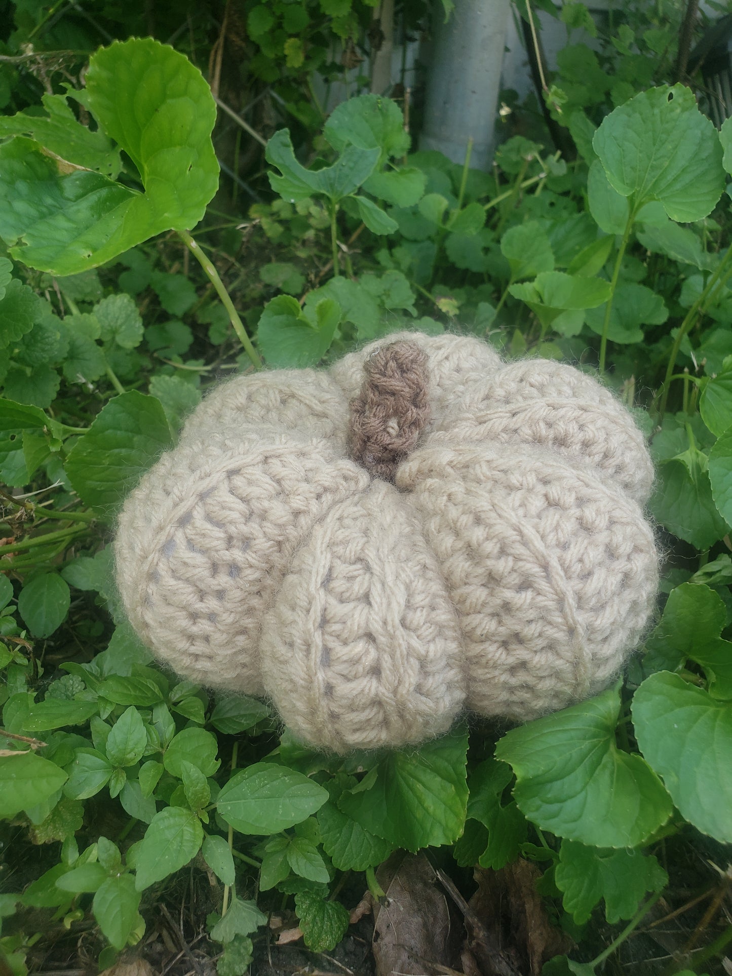 Crochet Pumpkin