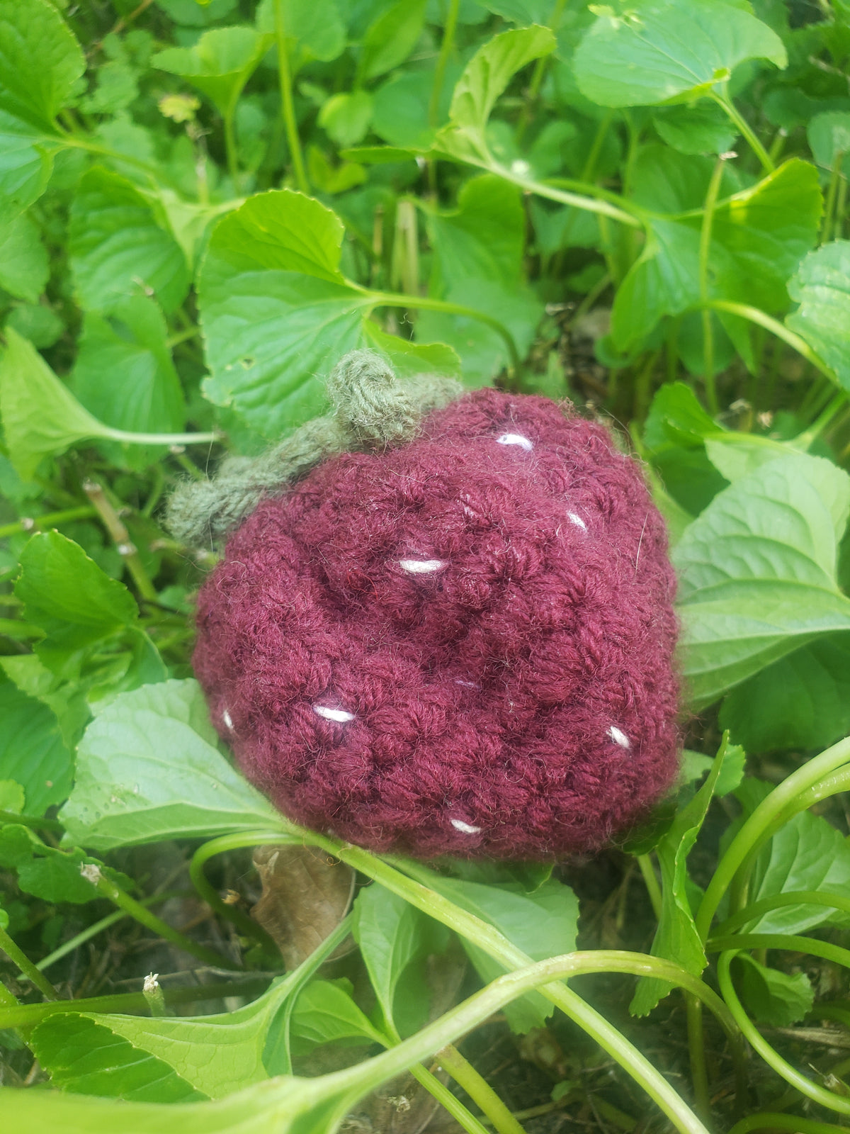 Crochet Over Ripe Strawberry