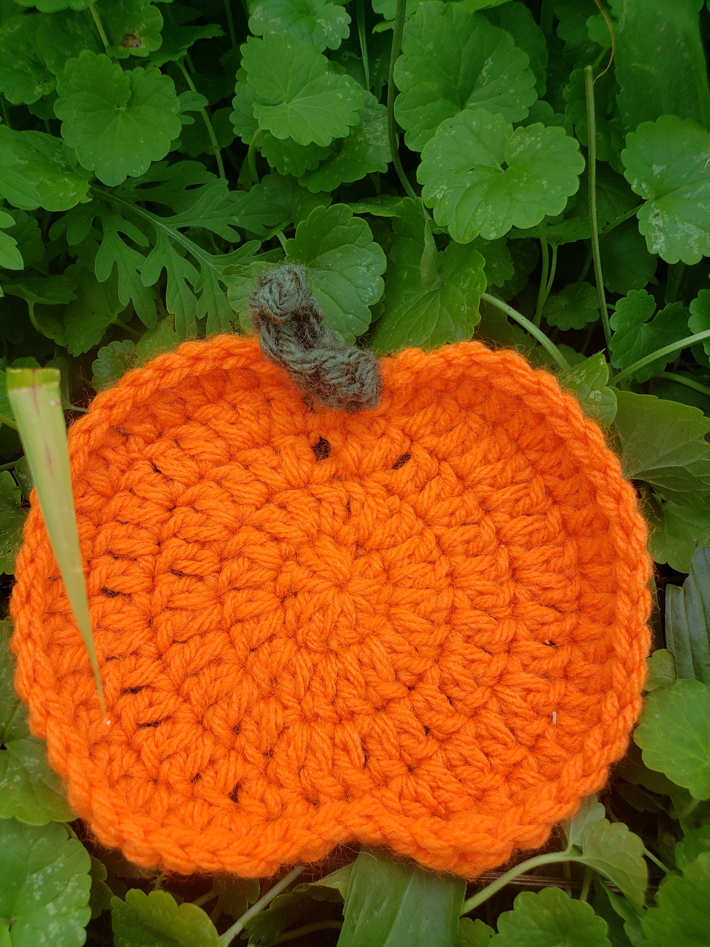 Crochet Pumpkin Coasters Set