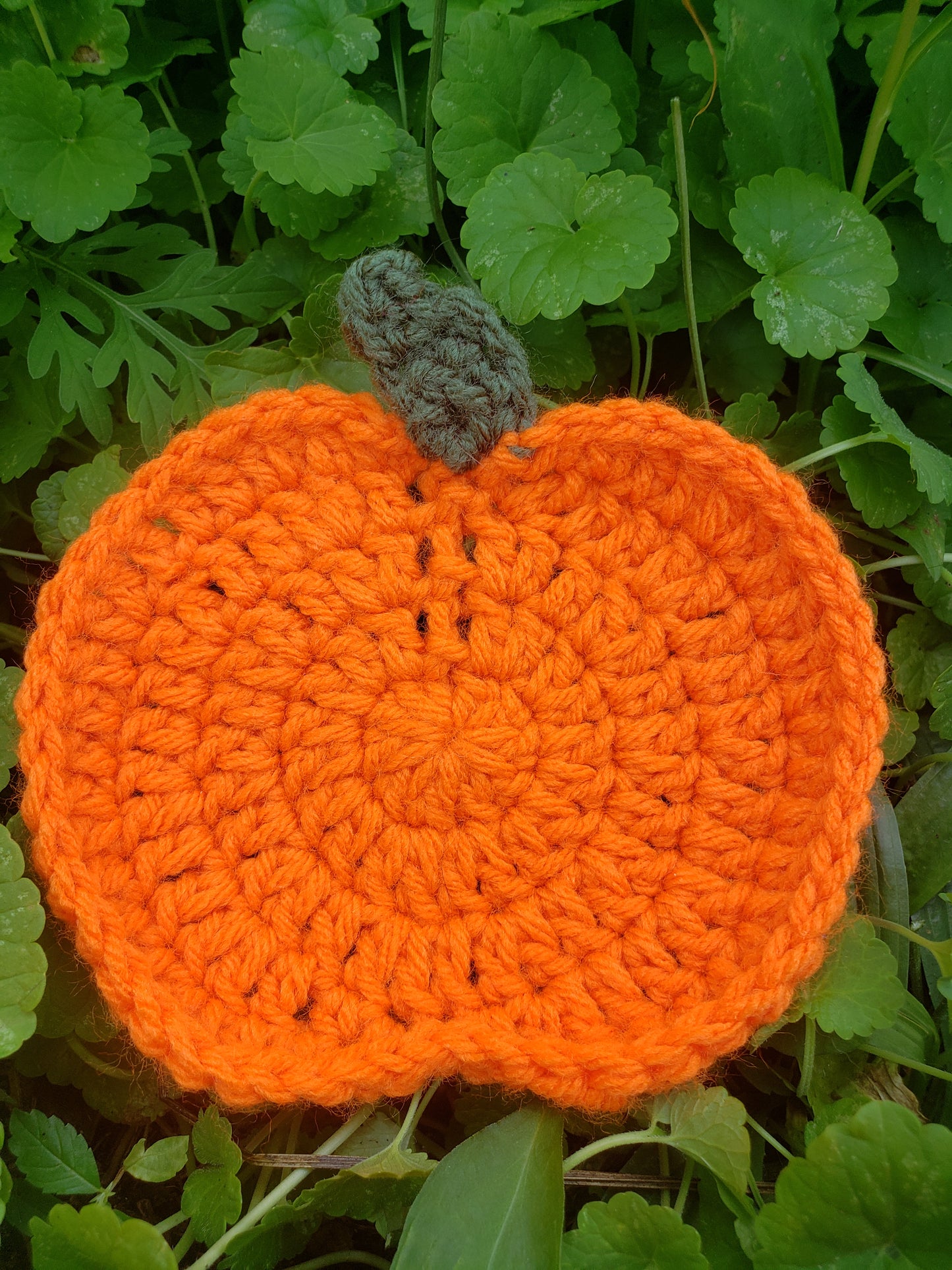 Crochet Pumpkin Coasters Set