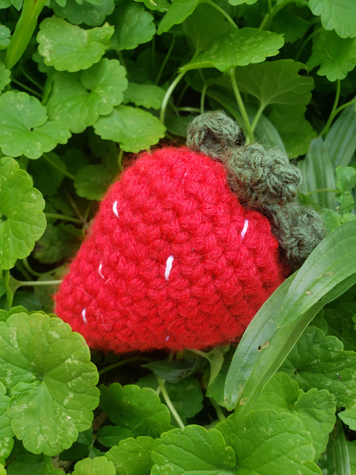 Crochet Strawberry