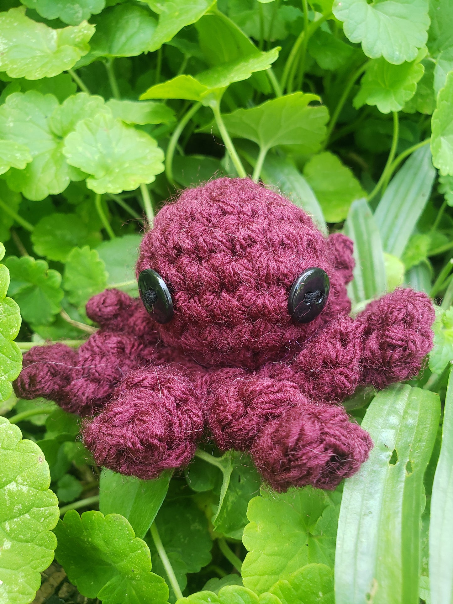 Crochet Little Octopus
