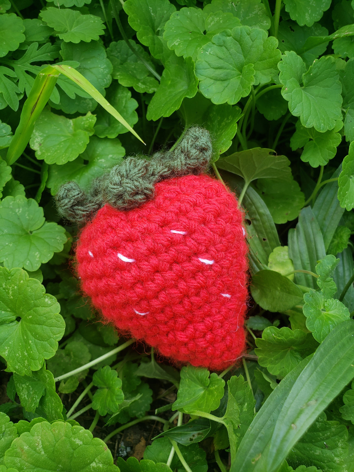Crochet Strawberry