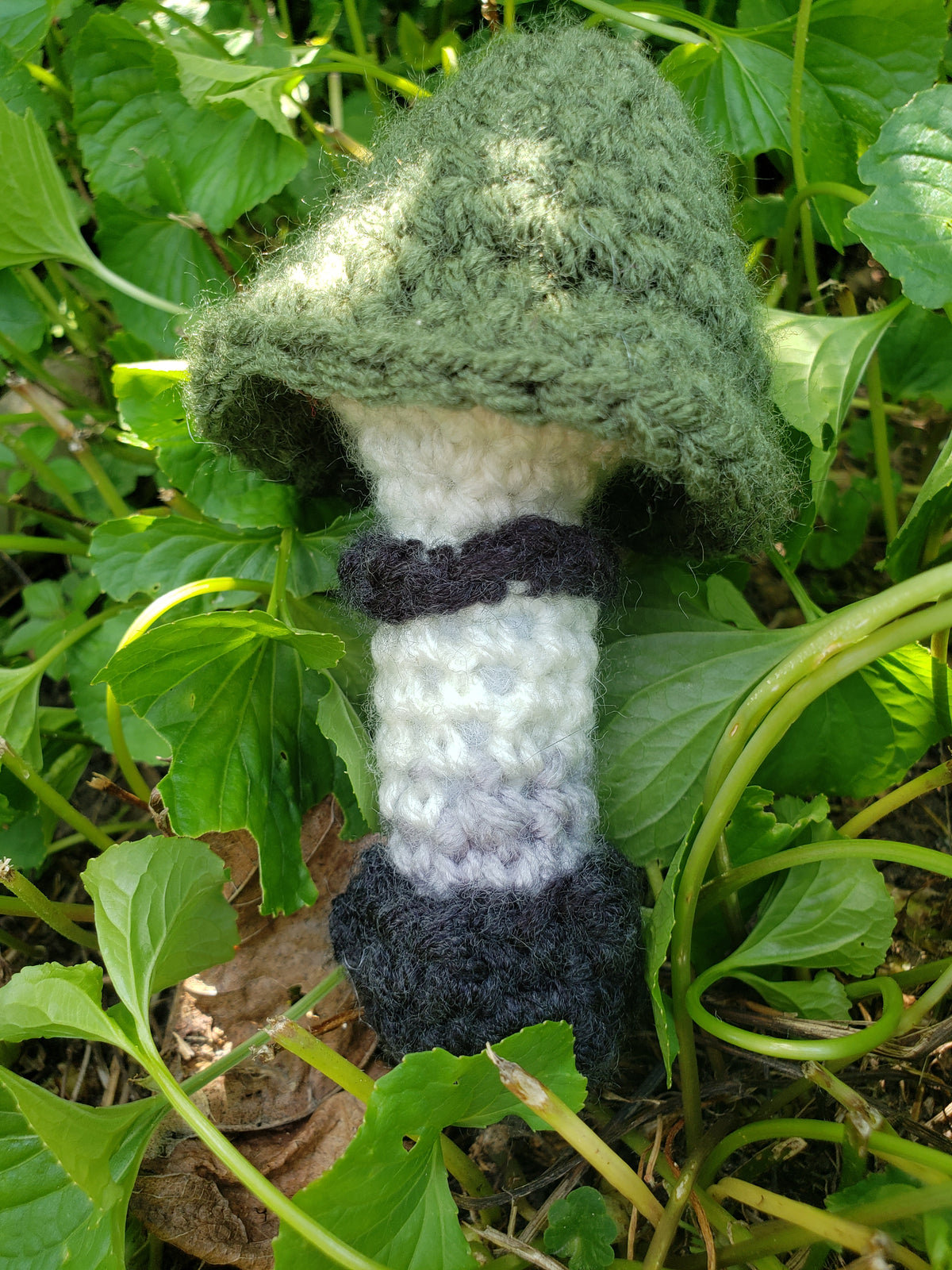 Crochet Mushrooms