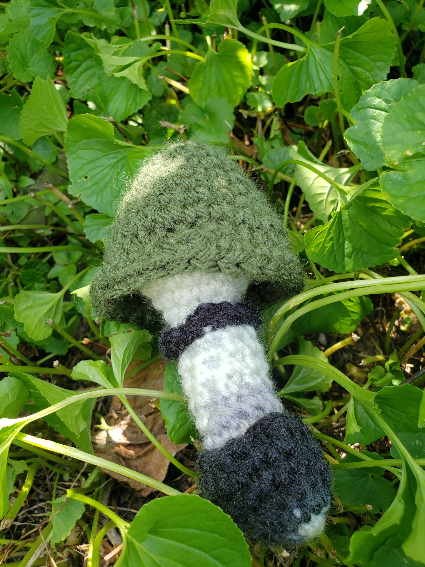 Crochet Mushrooms