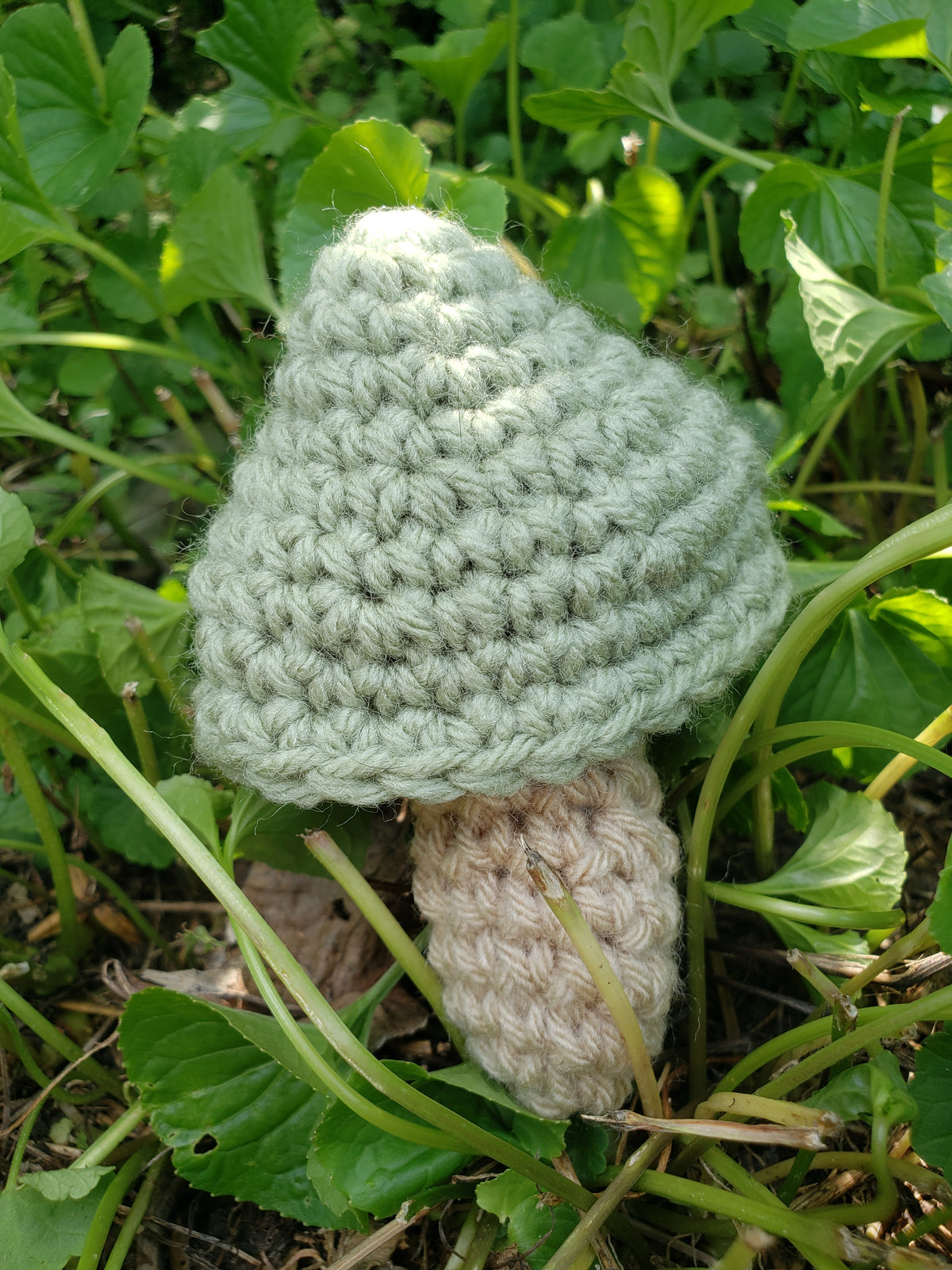 Crochet Mushrooms