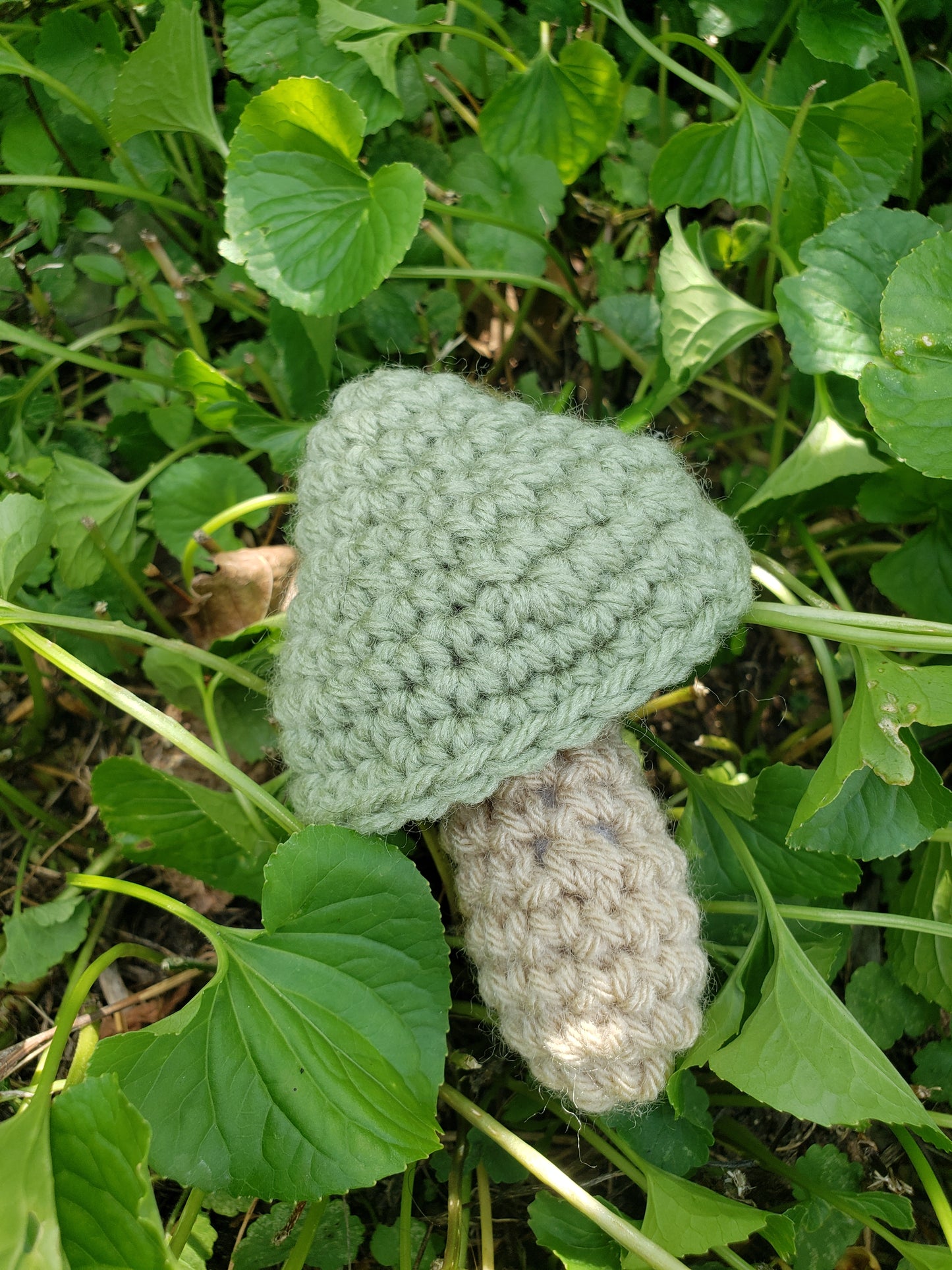 Crochet Mushrooms